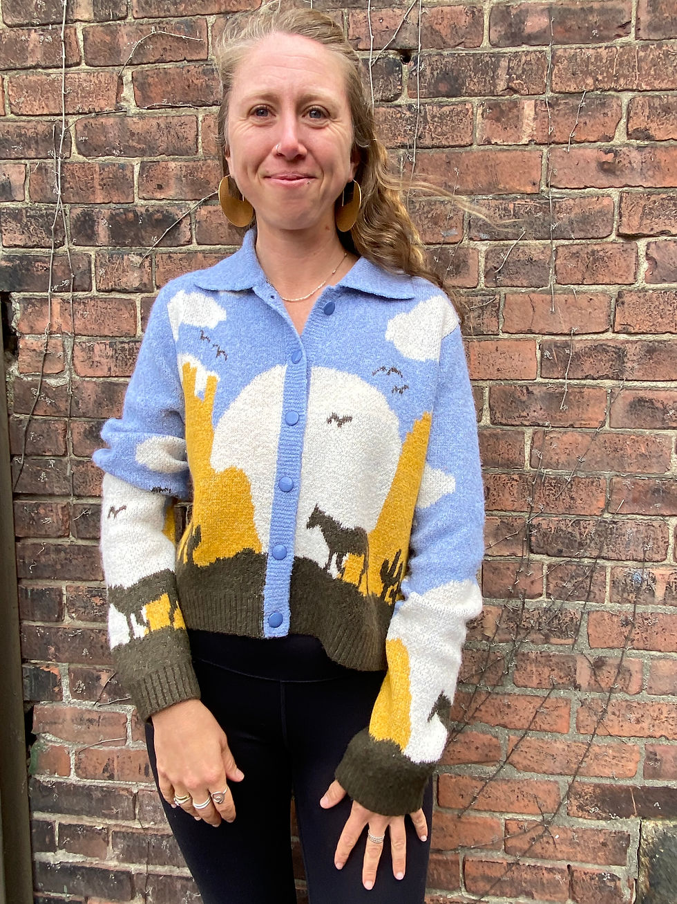 Horse At Sunset Western Cardigan