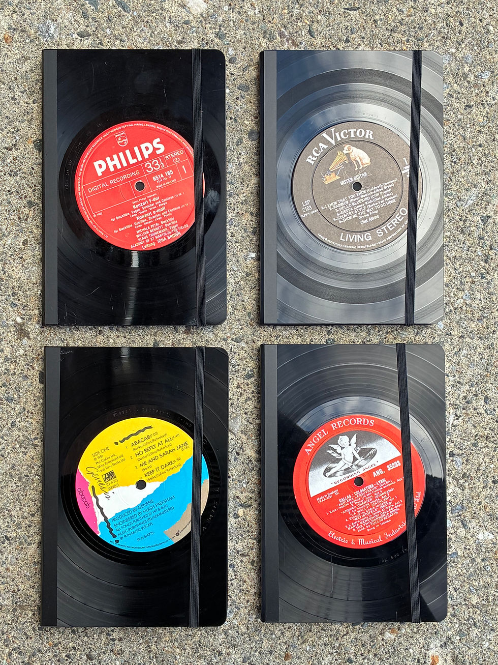 Thumbnail: Large Recycled Vinyl Journals 