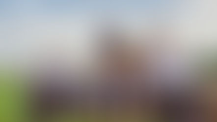 Taylore & Jesse | Barn At Glistening Pond | August 27, 2016 | Falls, PA Wedding Photographers