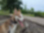 PXL_20250615_201607599_edited.jpg