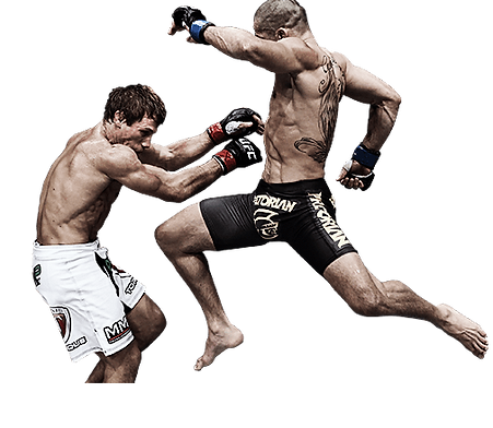 28490-2-fight-transparent-picture.png