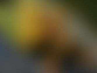 Jordan's Tweetfest October 12th