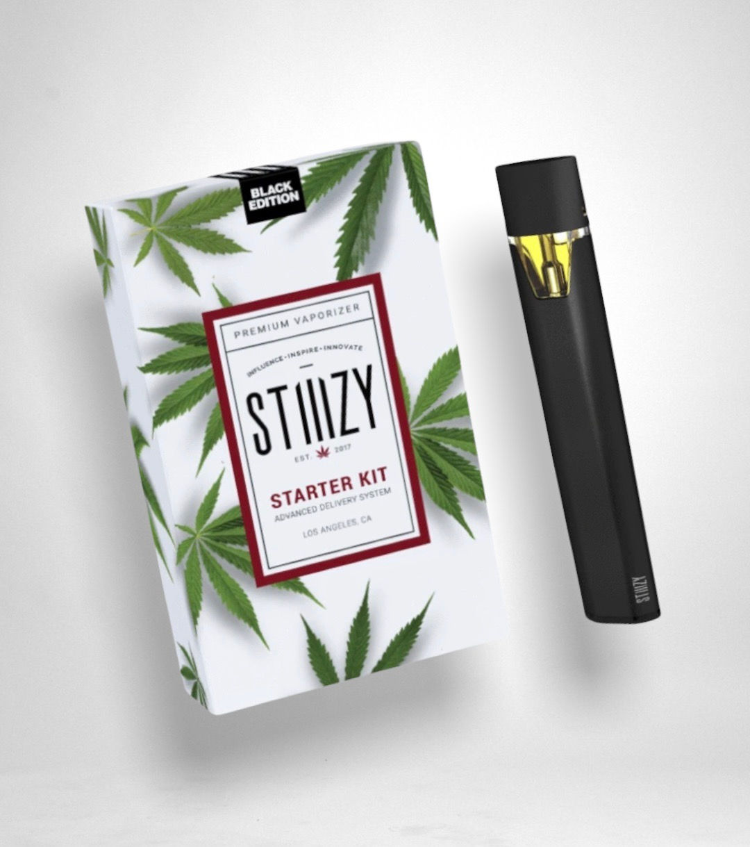 STIIIZY Starter Kit - Batter + Charger (for Stiiizy Pods)