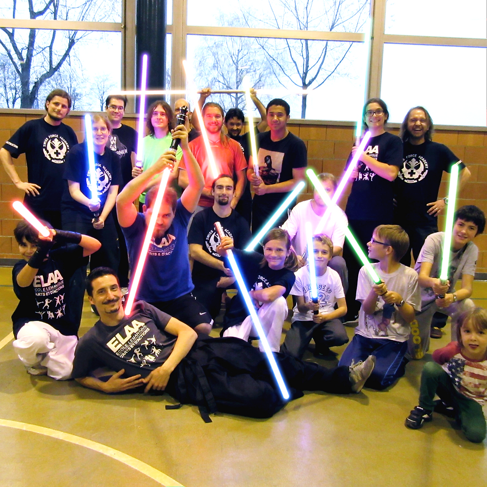 SFA 03 copie_edited.png