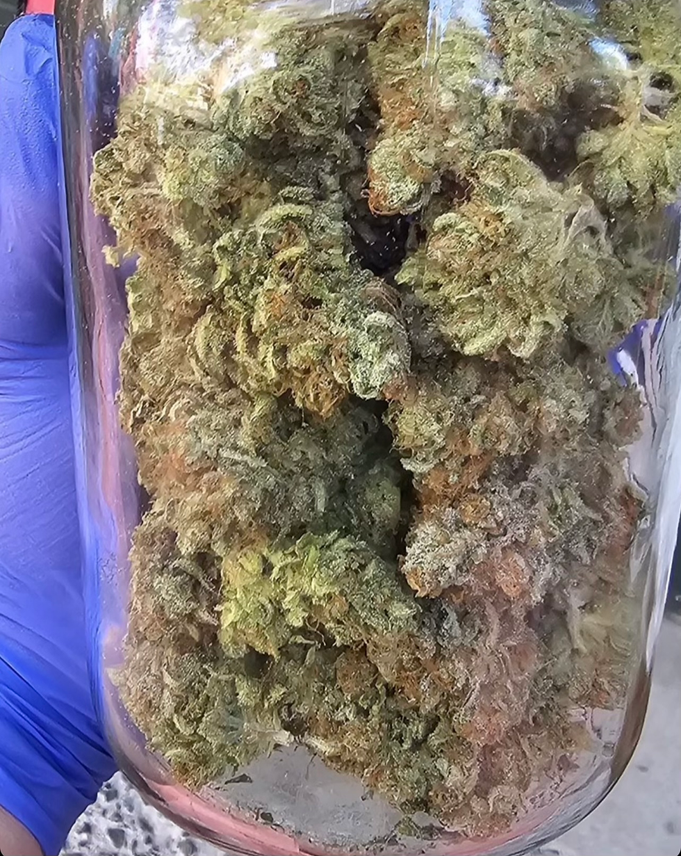 Thumbnail: Sour Lemon MAC