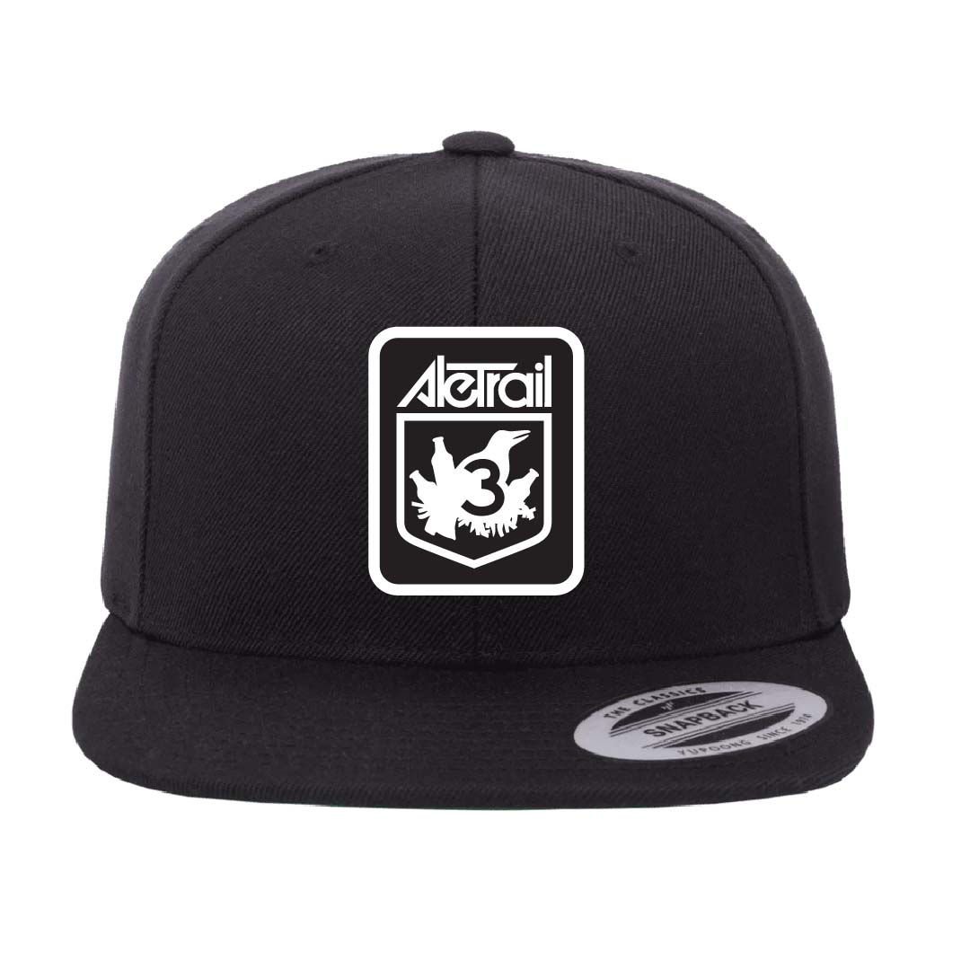 Ale Trail Patched Flat Brim Hat (TEFP012-6089M)