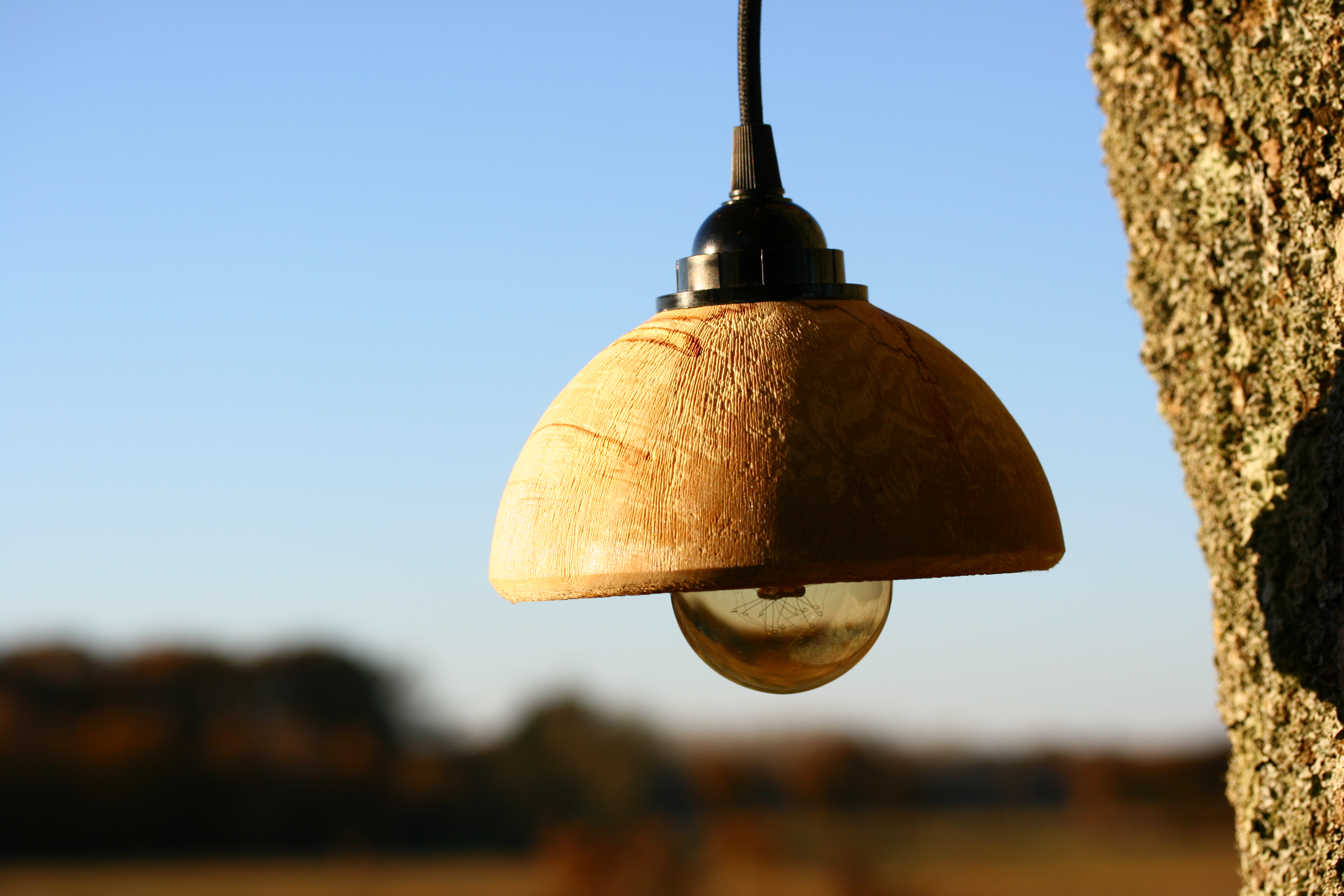 Plafonnier en bouleau