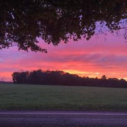 420131103_122137824320061474_1379635437171747290_n