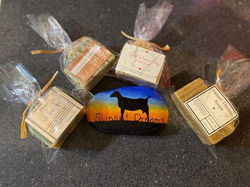 331878164_596506945716772_8224341027294909424_n