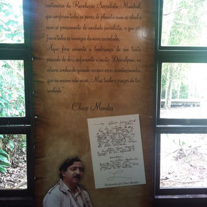 SONHANDO COM CHICO MENDES