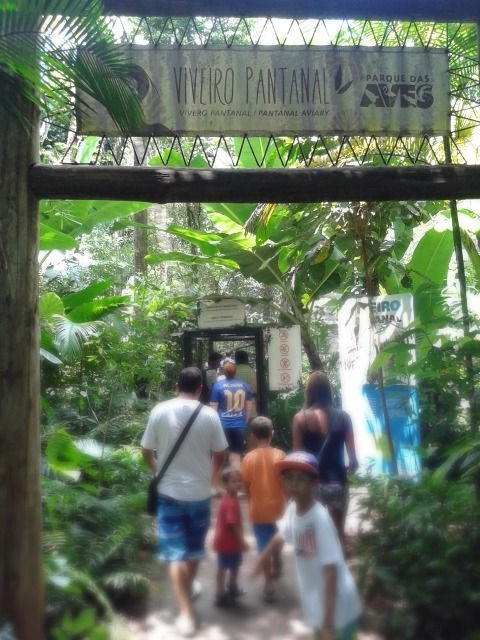 Viveiro Pantanal