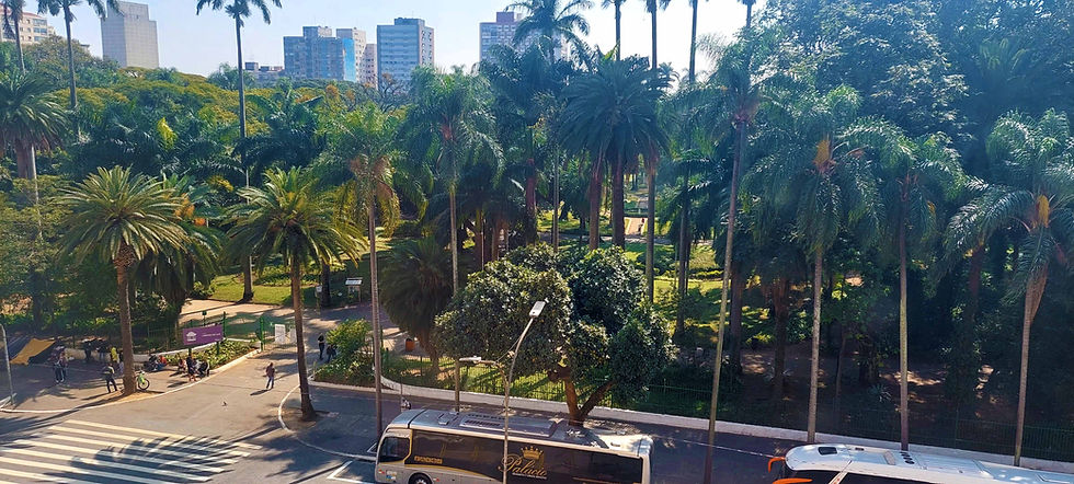 Parque da Luz visto do Museu da Língua Portuguesa em São Paulo