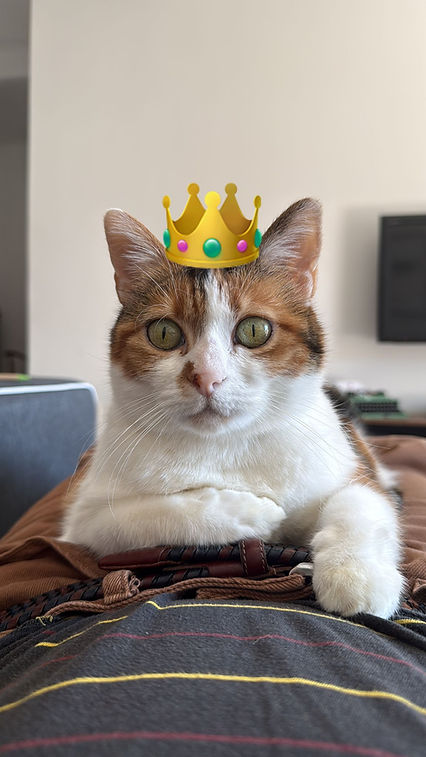 WhatsApp Image 2026-03-28 at 12.42.34.jpeg