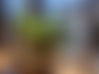 我が家のバナナちゃん