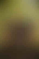 Draisinentour - Familie teilt sich was süßes auf der Draisine