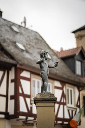 Draisinentour - Brunnen von Meisenheim