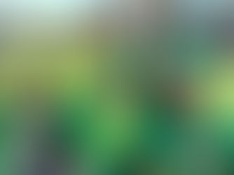 Neighborhood Stars: Aloha Vintage Base Ball Association steps up to the plate