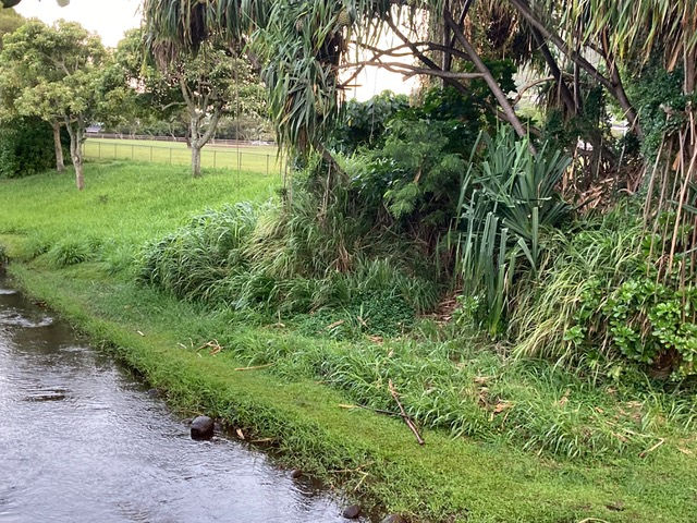 Photo: Overgrown streambank and culvert area with concealed cache—poor sightlines and debris create risks of ‘sandbars’ in the stream, thereby reducing free-flowing streamflow.