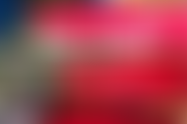 Swiss Chard-An antiinflammatory pain fighter