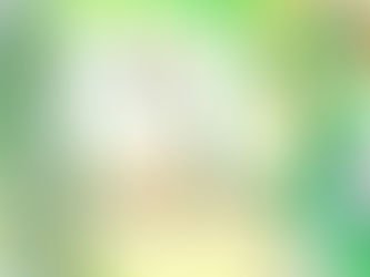 「あなたの庭はどんな庭」展