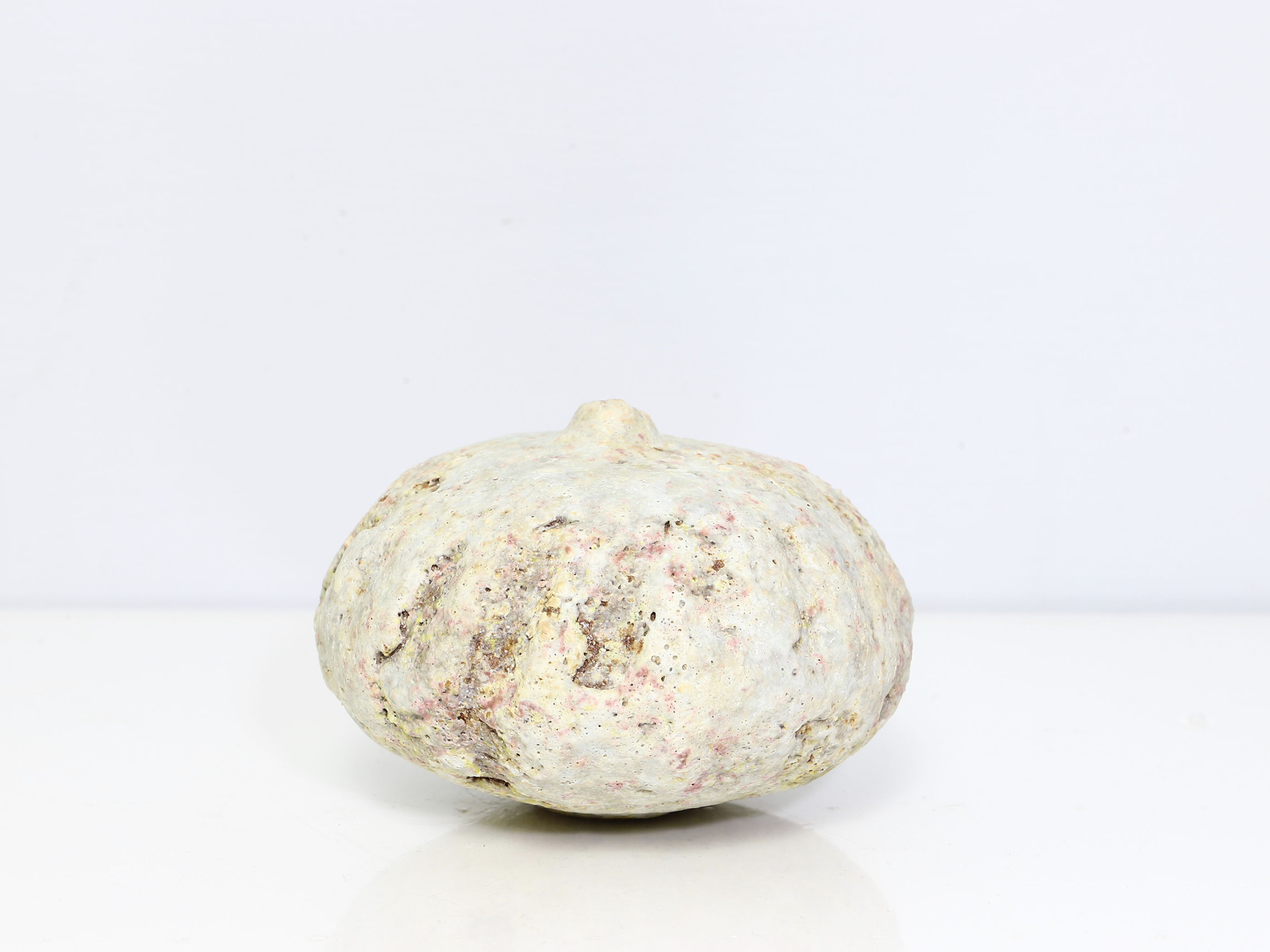 Small Pod with Rutile & Seashell