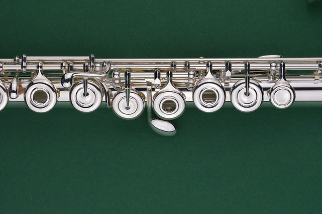 Y_372_DSC_1031_edited.jpg