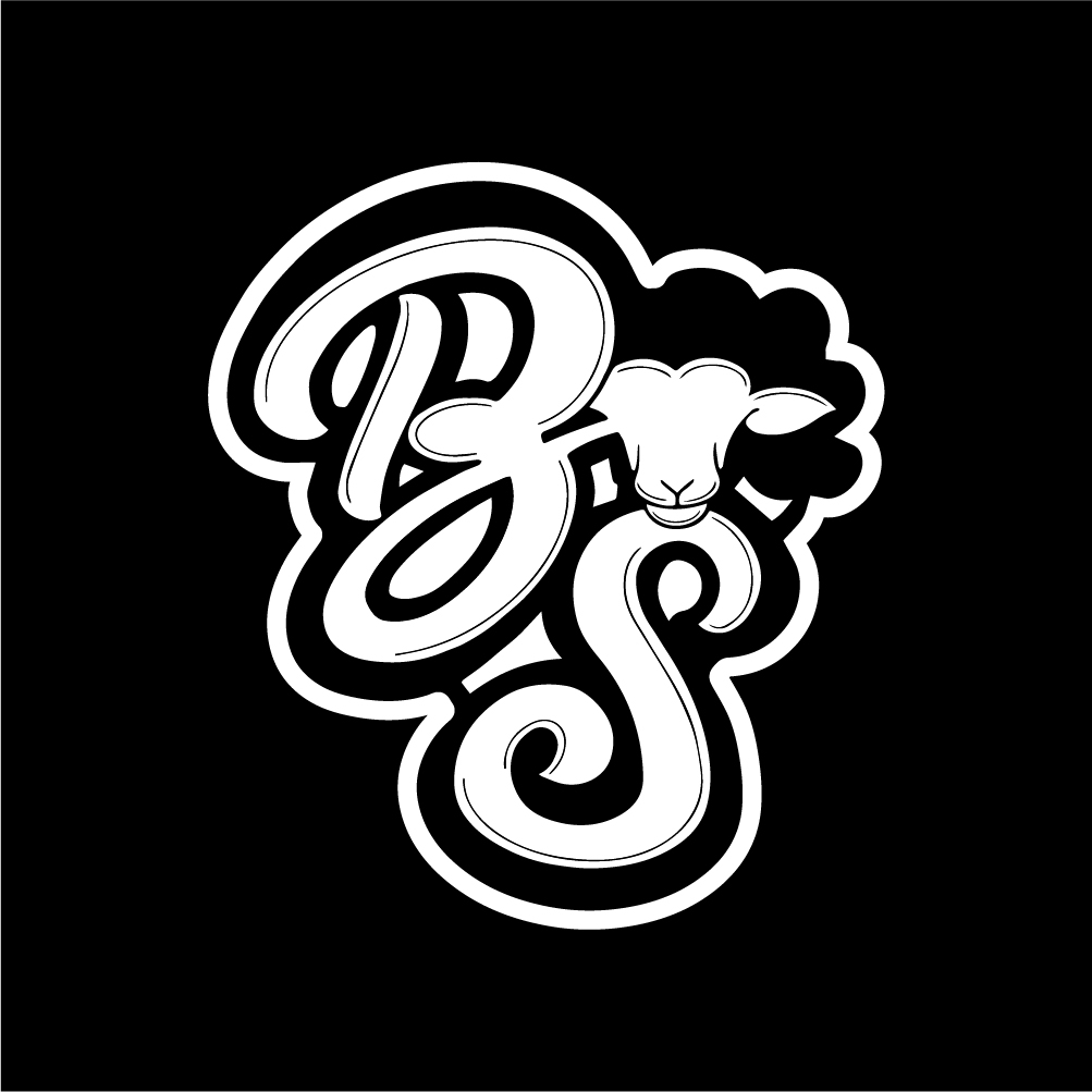 Logo-2-BSTS-100.jpg