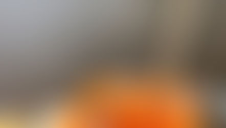 Klementin- og gulerodsmarmelade