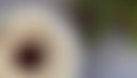 Risalamande med kirsebærsauce