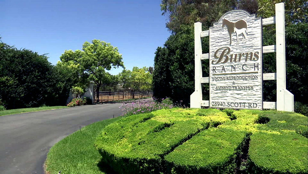 Burns Ranch Home | Burns Ranch