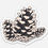 Thumbnail: Pinecones