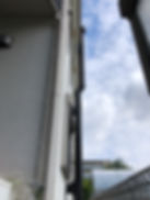 IMG_3266.jpeg