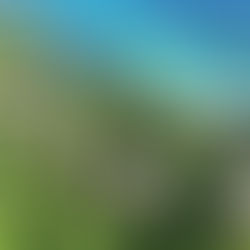 Tourism - ensuring a positive local impact