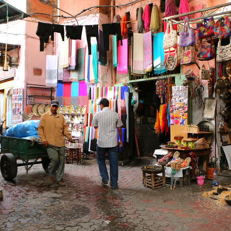 Environmentalism in Marrakesh