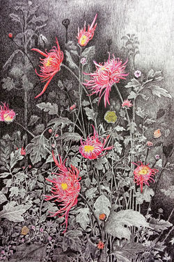 Red Flower - the unseen truth