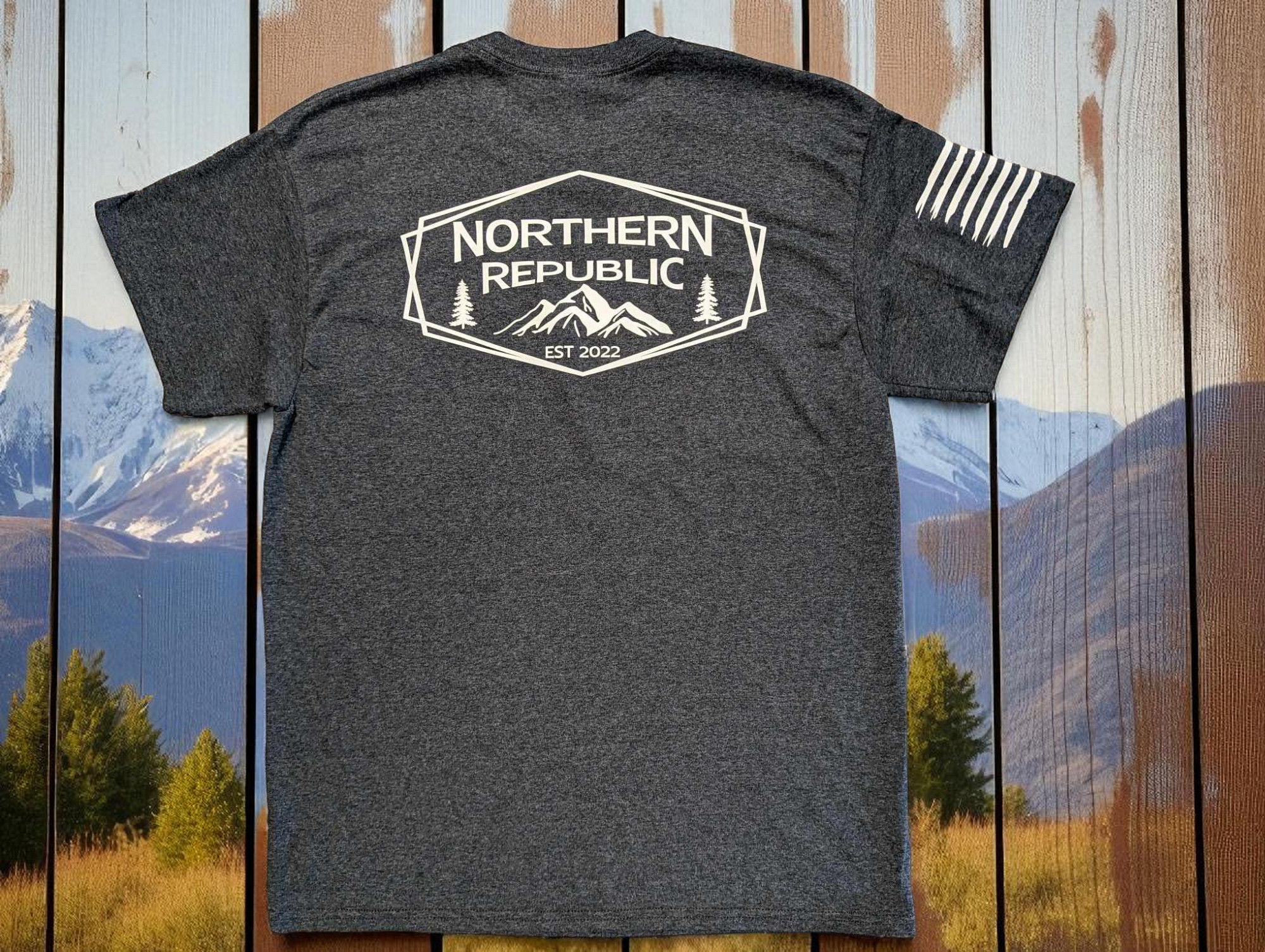 Northern Republic grey mountian tee