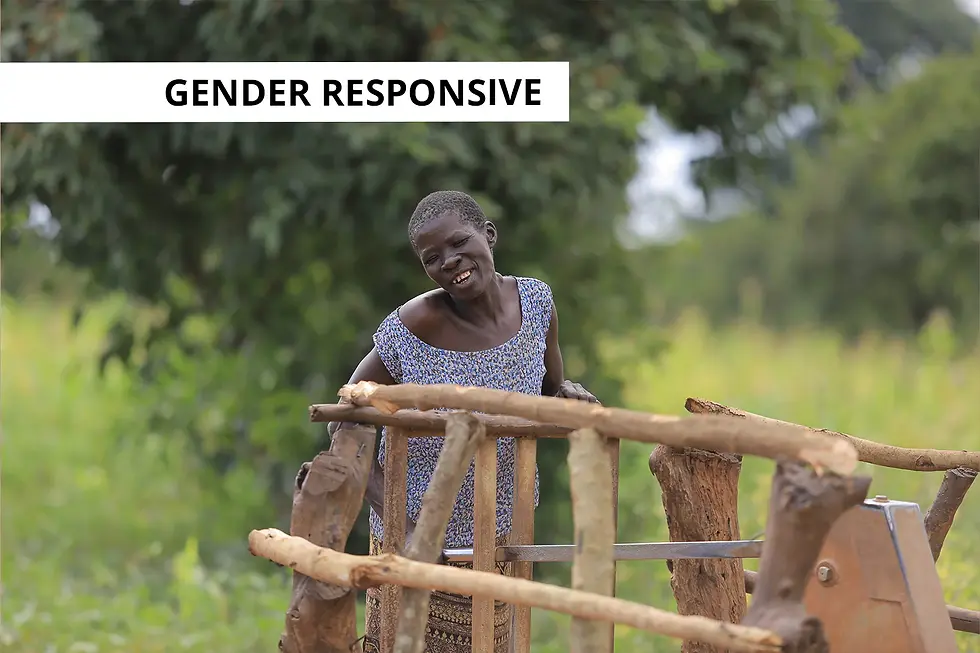 A woman pumping clean water from a rehabilitated borehole.