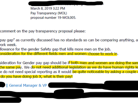 Redacted image of submission to Ministry of Labour on proposed pay transparency legislation, revealing misunderstanding of the purpose of the law and the gender wage gap (as discussed in the blog post)