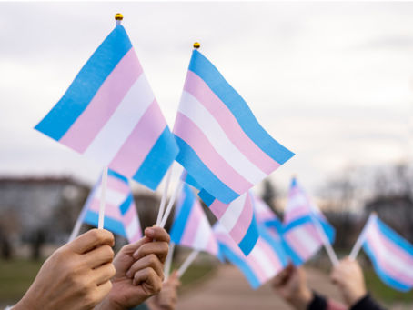 Trans flags raised in the air