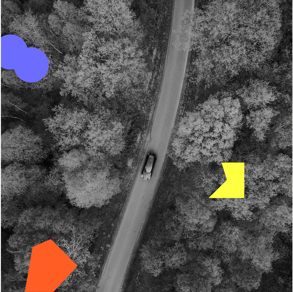 black and white photo of car driving through woods with branded coloured icon overlay
