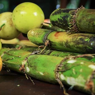 canne à sucre - maracuja
