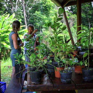 des femmes qui échangent des plantes