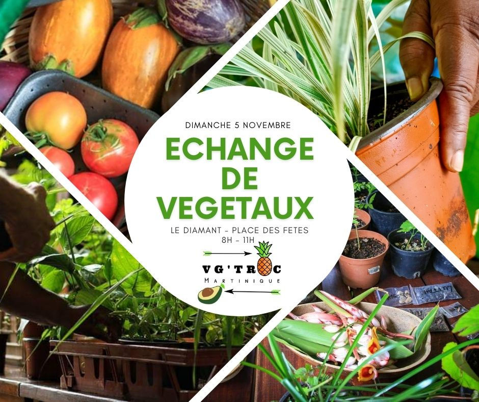 échange de végétaux