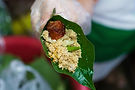 _A678265.jpg