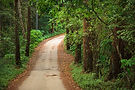 _MG_6719.jpg