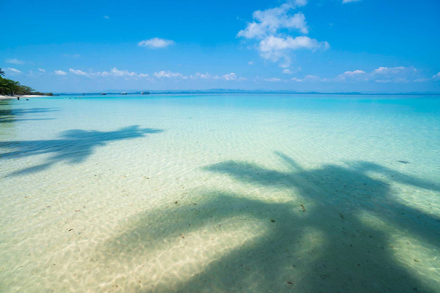 หาดทรายขาว น้ำทะเลใส มีเงาต้นมะพร้าว