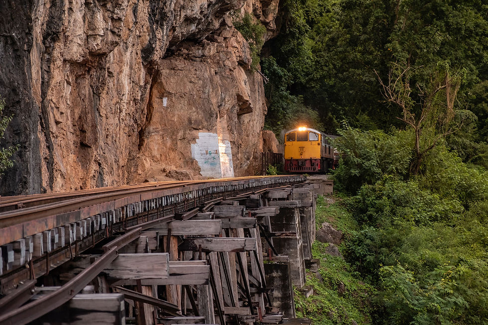 view-train-railway-bridge-amidst-forest.jpg