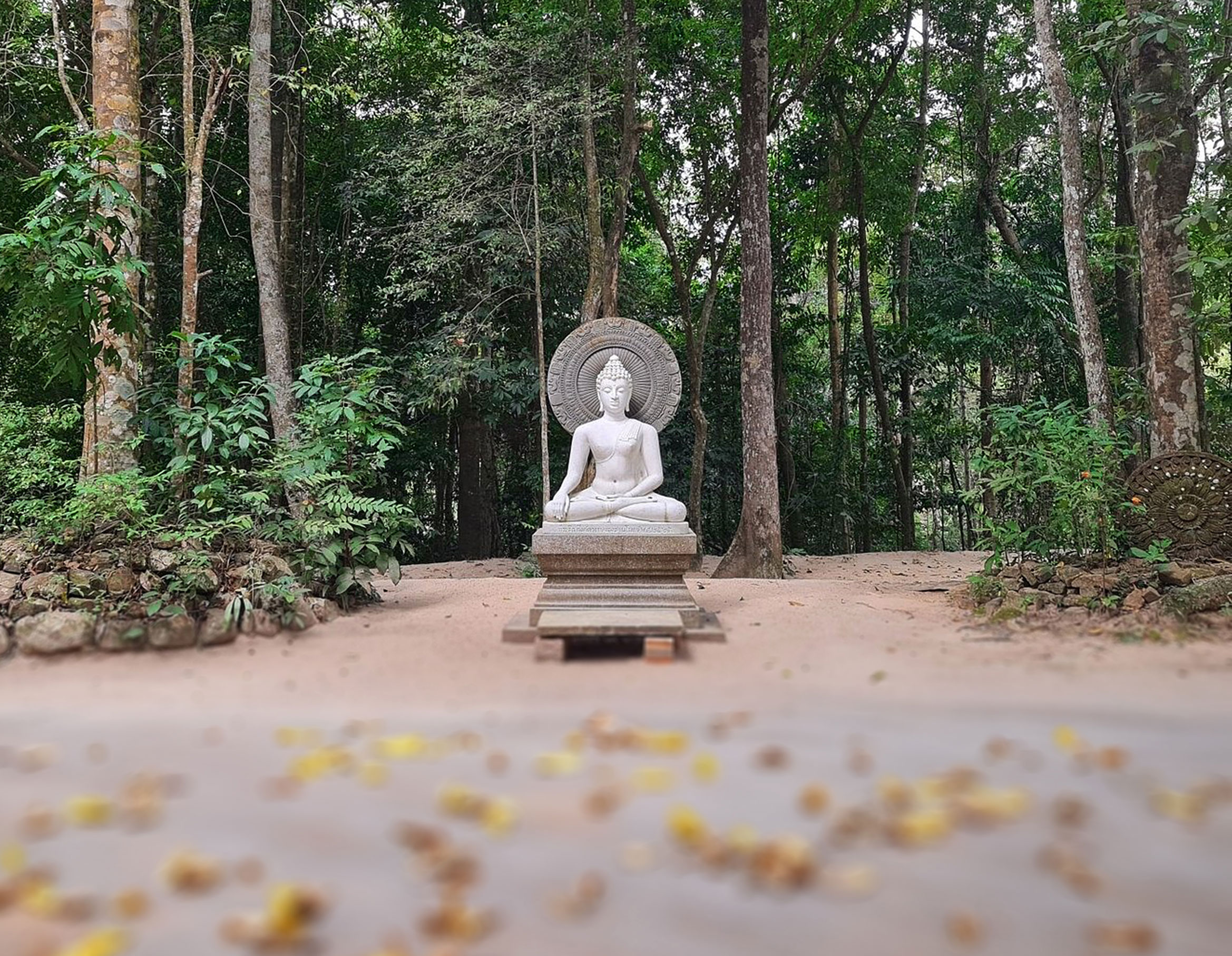 suan-mokkh.jpg