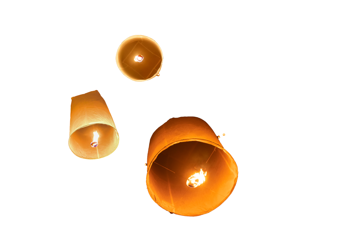 WEB-02.png