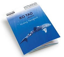 Booklet-Mockup_KoTao-20180304.jpg